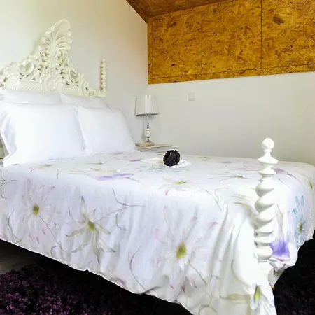 Casa Do Azevinho - Grupo Casas Vale Do Lima Hébergement de vacances *