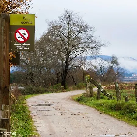 Casa Do Azevinho - Grupo Casas Vale Do Lima *