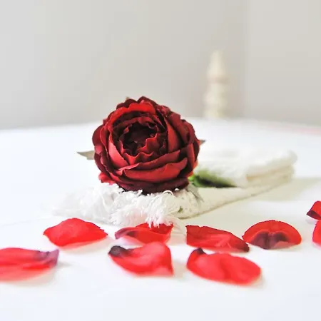 Casa Do Azevinho - Grupo Casas Vale Do Lima Ponte de Lima