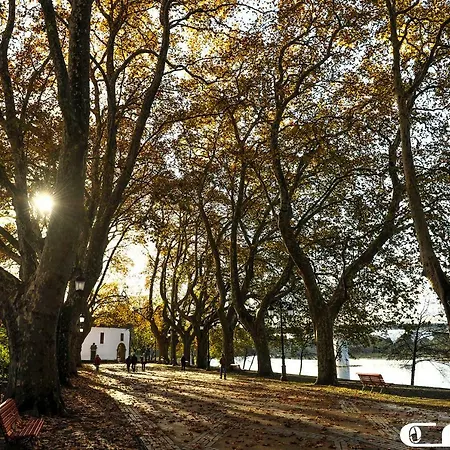 Hébergement de vacances Casa Do Azevinho - Grupo Casas Vale Do Lima *