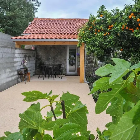 Casa Do Azevinho - Grupo Casas Vale Do Lima