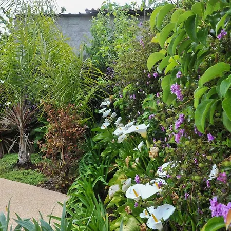 Casa Do Azevinho - Grupo Casas Vale Do Lima