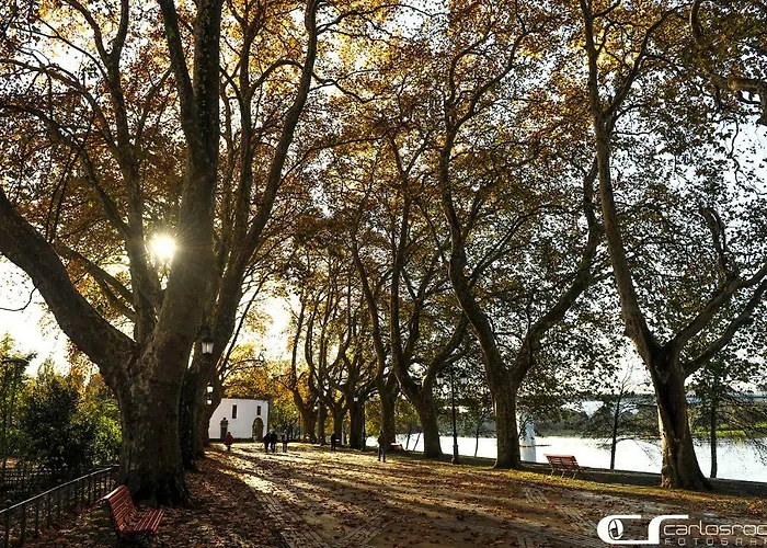 Dom wakacyjny Casa Do Azevinho - Grupo Casas Vale Do Lima *