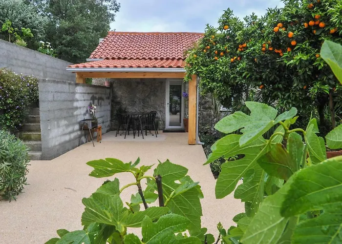 Casa Do Azevinho - Grupo Casas Vale Do Lima