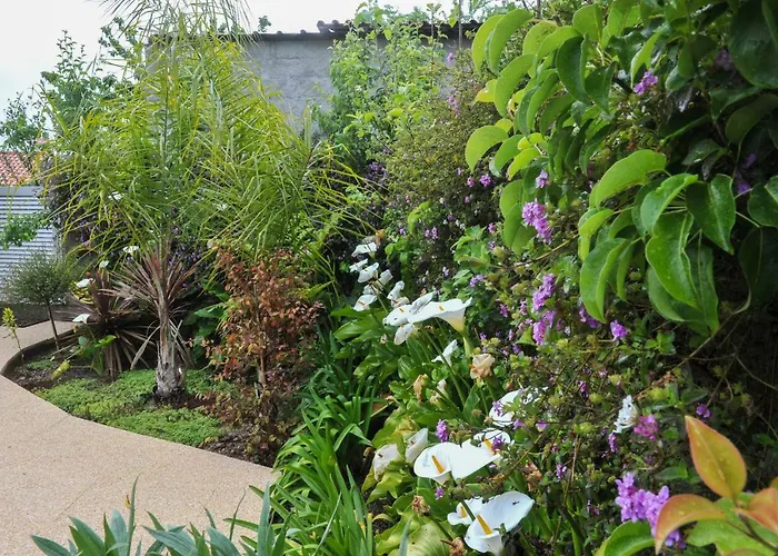 Casa Do Azevinho - Grupo Casas Vale Do Lima